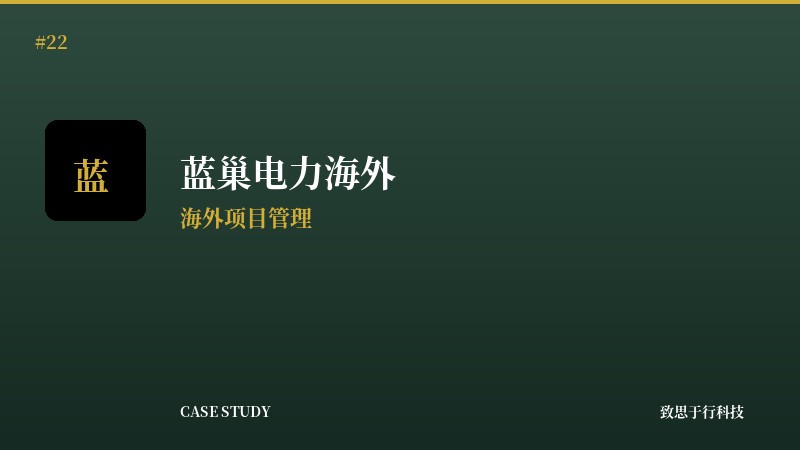 蓝巢电力海外项目